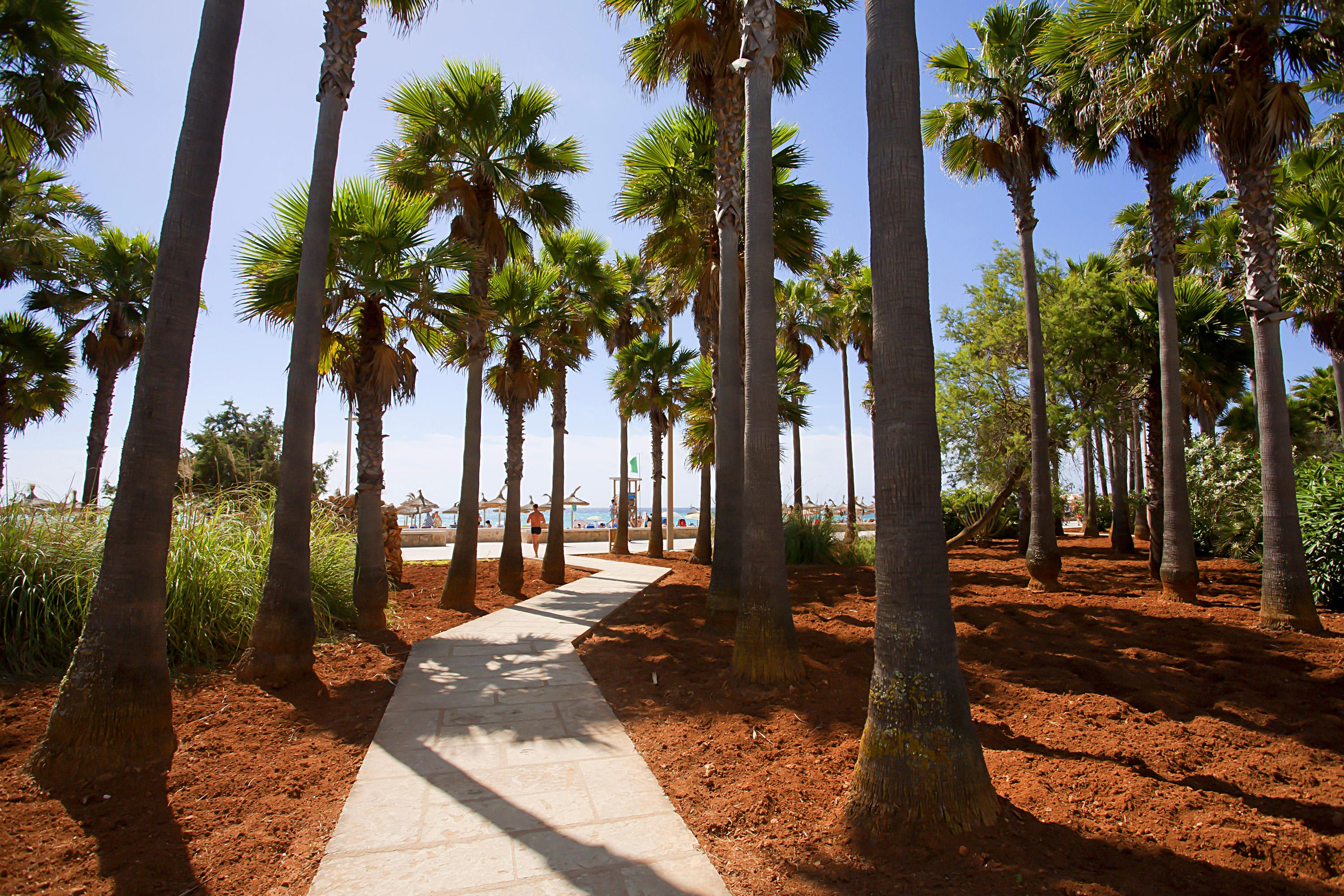 Hipotels Mediterraneo Club Feriested Sa Coma (Mallorca)